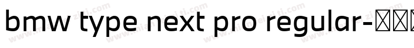 bmw type next pro regular字体转换